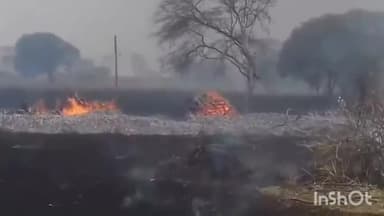 गुलाबगंज: ज़िले में नरवाई जलाने वालों के खिलाफ कार्रवाई करने के कलेक्टर ने दिए निर्देश