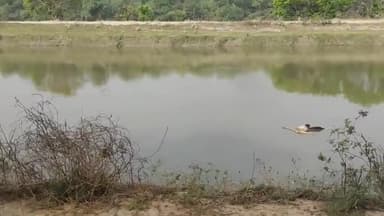 सीतापुर-शारदा सहायक नदी में तैरता दिखाई दिया महिला का शव, ग्रामीणों ने वीडियो बनाकर किया वायरल।
#news #short