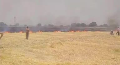 घाटमपुर: चिरला गांव के पास स्थित खेतों में लगी आग, 20 बीघा गेहूं की फसल जलकर हुई राख