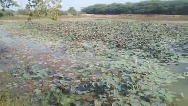 ஆவுடையார் கோவில்: அடிப்படை வசதிகள் இன்றி தவிக்கும் நல்லிக்குடி கிராமம் விடியலை நோக்கி மக்கள் 
கண்டு கொள்ளுமா மாவட்ட நிர்வாகம் #localissue