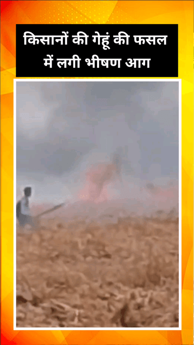 गाज़ियाबाद: गांव फजलगढ़ में गेहूं की फसल में लगी भीषण आग, किसानों को हुआ लाखों का नुकसान