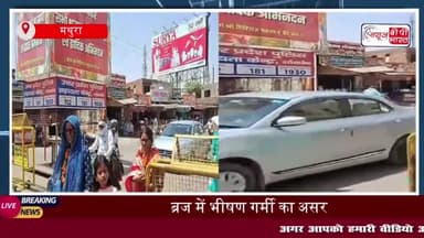 ब्रज क्षेत्र में भीषण गर्मी का प्रकोप, जनजीवन प्रभावित, मंदिरों और बाजारों में दिखा असर
#ब्रज #क्षेत्र #भीषण #गर्मी