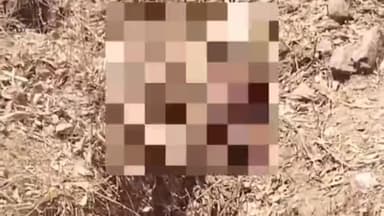 देवसर: कुर्सा के जंगल में मिला महिला का सड़ा हुआ कंकाल, परिजनों ने जताई हत्या की आशंका