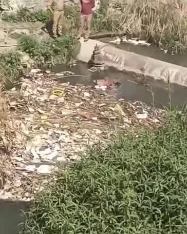 कानपुर: गोविंद नगर के तात्या टोपे नगर में नहर में मिला अज्ञात व्यक्ति का शव