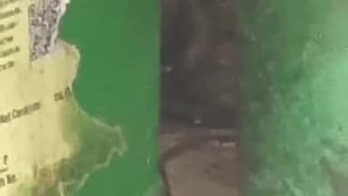 बिहार: सदर अस्पताल के जीविका दीदी के रसोईघर में दिखा जहरीला सांप, रेस्क्यू के लिए पहुंची वन विभाग की टीम