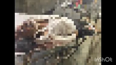 मीरगंज: नगरिया सादात रेलवे स्टेशन के समीप पूर्व लेखपाल की ट्रेन के चपेट में आने से हुई मौत