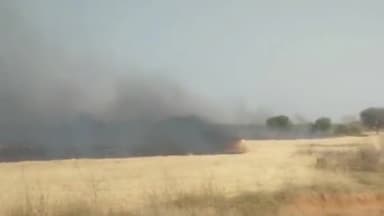 बडोनी: ग्राम हथलई और जिगना में गेहूं की नरवाई में लगी आग, दमकल विभाग ने आग पर पाया काबू