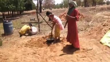 देवसर: साजापानी ग्राम पंचायत में मनरेगा के तहत सड़क निर्माण में नाबालिग से काम कराया जा रहा है, वीडियो हुआ वायरल