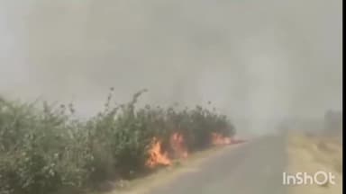 गुलाबगंज: विदिशा में नरवाई जलाने पर प्रशासन सख्त, 328 मामले दर्ज