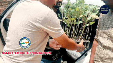 80 पेड़ donate किये “ tree donation “ plant donation “smart Amroha foundation #tree #donation #smartamroha