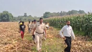 अररिया: बुआरीबाद में मकई के खेत के बीच पेड़ से लटका मिला एक युवक का शव, मामले की जांच में जुटी पुलिस