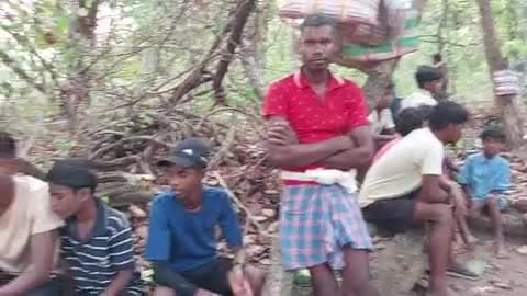 ग्राम तातरी में पारम्परिक माटी तिहार  आमा जोगानी   मनाया गया ।