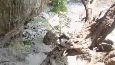 बदरवास: सालौन बड़ा भरका के जंगल में संदिग्ध हालत में युवक की लाश मिली, पुलिस ने 300 फीट गहराई में उतरकर की बरामद