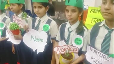 आरा: पकड़ी स्थित किड्जी एवं माउंट लिटरा जी विद्यालय में पृथ्वी दिवस का आयोजन, स्कूल के डायरेक्टर श्रेयांश जैन सुचित रहे मौजूद