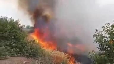 नरवल: महोली गांव में गेहूं के खेत में लगी आग, पूरी फसल जलकर हुई खाक