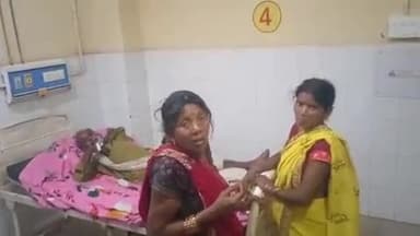 पडरौना: कोकिलपट्टी में खेत में गेहूं का बोझ बांधते समय वृद्ध को वाइपर सांप ने काटा, अस्पताल में इलाज के बाद हालत में सुधार