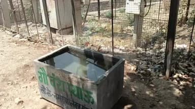 मांगरौल: नगर पालिका मांगरोल ने पशुओं के लिए जगह-जगह जल सेवा की