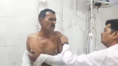 मुरैना नगर: शहर में अलग-अलग जगहों पर आवारा कुत्तों ने 3 लोगों को काटकर किया घायल, जिला अस्पताल में हुआ उपचार