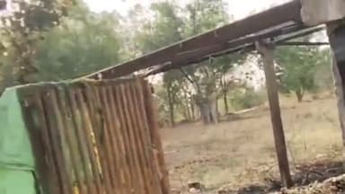 दलौदा: कचनाराम के खेत में अज्ञात कारणों से आग लगी, राखी ऊटी लहसुन जल गया, तीन मवेशियों को बचाया गया