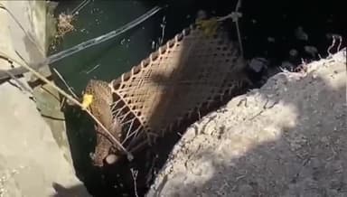 बांसवाड़ा: गणाऊ के कल्याणपुर गांव में कुएं में गिरा पैंथर, रेस्क्यू ऑपरेशन के बाद सुरक्षित निकाला गया और जंगल की ओर भागा