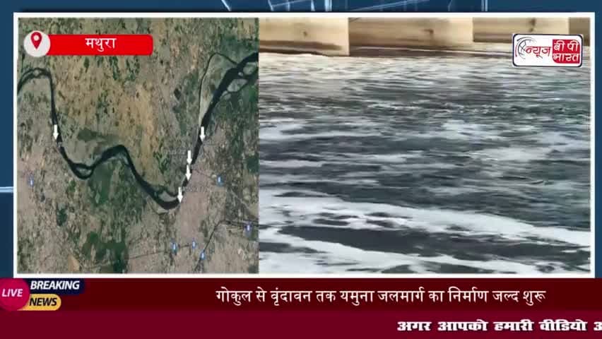 यमुना में शुरू होगी सोलर बोट सेवा, गोकुल से वृंदावन तक 22 किमी का जलमार्ग तैयार
#यमुना #सोलर #बोट #सेवा #गोकुल