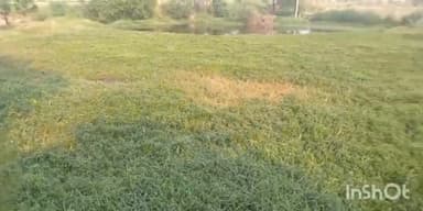 बागपत: ग्राम जवाहरपुर मेवला के तालाब की सफाई और खुदाई नहीं होने से ग्रामीण हुए परेशान, DM से लगाई गुहार #Jansamasya