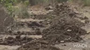 पालघर: गुंदले येथे नव्याने होऊ घातलेल्या कंपनीला स्थानिकांचा विरोध; आंदोलनाचा स्थानिकांचा पवित्रा #Jansamasya