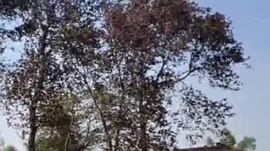 पूरनपुर: मढाखुर्द कला में अग्निपीड़ित परिवार पांच दिन बाद भी खुले आसमान के नीचे रहने को मजबूर, नाम मात्र मिली मदद