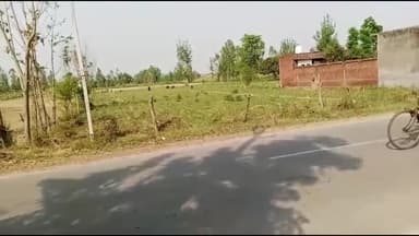 नौगावां सादात: तहसील क्षेत्र के किसान आवारा पशुओं से परेशान,अधिकारियों से की पकड़ने की मांग, अधिकारियों से की शिकायत #jansamasya