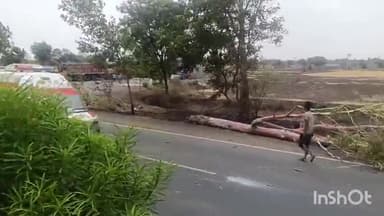 मंदसौर: बरखेड़ा पंथ में सड़क पर चलती कार पर गिरा पेड़, दो कार हुईं क्षतिग्रस्त