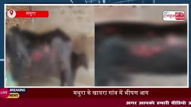 मथुरा के खायरा गांव में भीषण आग, किसानों को लाखों का नुकसान
#मथुरा #खायरा #गांव #आग