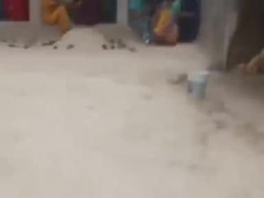 सहजनवा: सहजनवा के हरपुर बुदहट थानाक्षेत्र अंतर्गत कुचडेहरी गांव में हुई तीन मौत के मामले में एसपी नॉर्थ ने दी जानकारी