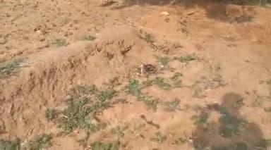 బయ్యారం: ఉప్పాక గ్రామంలో ఓ వ్యక్తికి చెందిన పొలంలో క్షుద్ర పూజలు కలకలం