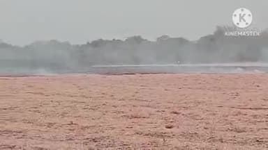 खुरई: बीना रोड पर एग्रो कार्यालय के पास खेत की नरवाई में लगी आग, वाहन चालक बचकर निकले, नगर पालिका की दमकल ने आग बुझाई