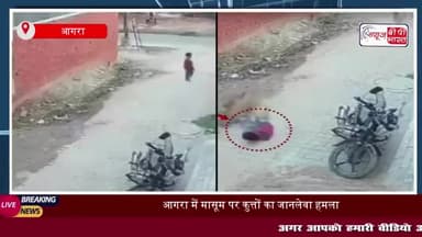 आगरा में 5 साल के बच्चे पर कुत्तों का हमला, मच गई चीख पुकार; गंभीर हालत में अस्पताल में भर्ती
#आगरा  #बच्चे