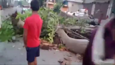 अथमलगोला: अथमलगोला के गंजपर गाँव में अनियंत्रित ट्रक ने पहले पेड़ और फिर सड़क किनारे खड़ी ई-रिक्शा में टक्कर मारी