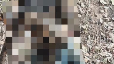 देवसर: जियावान थाना क्षेत्र में माल पहाड़ के जंगल में फांसी पर लटका मिला युवक का शव, जांच शुरू