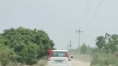धनौरा: गजरौला हाईवे स्थित जीरो पॉइंट के पास कार सवार युवकों ने खिड़की से निकलकर किया खतरनाक स्टंट, वीडियो हुआ वायरल