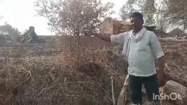 कुरवाई: ग्राम पंचायत तमोइया में नरवाई में लगी आग, किसान को हुआ नुकसान