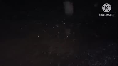 जीरन: हरवार में बारिश के साथ ओलावृष्टि हुई