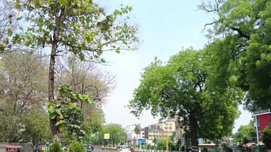 प्रयागराज: प्रयागराज में तेज धूप और गर्मी के बाद रविवार को मिली राहत, बारिश की जताई गई संभावना