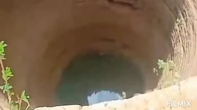 मुरैना नगर: थरा गांव के पास कुएं में गोवंश की मौत, जिलाध्यक्ष ने कार्रवाई का किया वादा