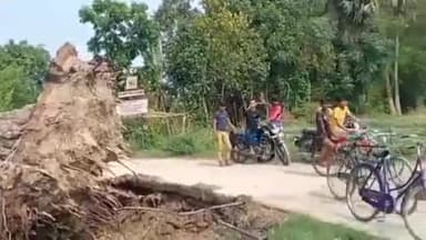 विभूतिपुर: विभूतिपुर के मोहम्मदपुर सकरा में 200 साल पुराना बरगद का पेड़ घर पर गिरा, लाखों का नुकसान हुआ