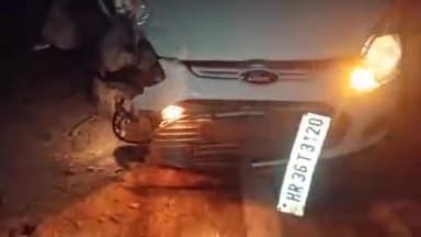 रायसिंहनगर: रायसिंहनगर क्षेत्र में तेज रफ्तार कार पेड़ से टकराई, कार सवार चार लोग गंभीर रूप से हुए चोटिल