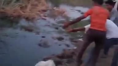 पीपलदा: खातोली थाना इलाके के बंजारी गांव के तालाब से वन विभाग की टीम ने मगरमच्छ का किया रेस्क्यू, लोगों को मिली राहत