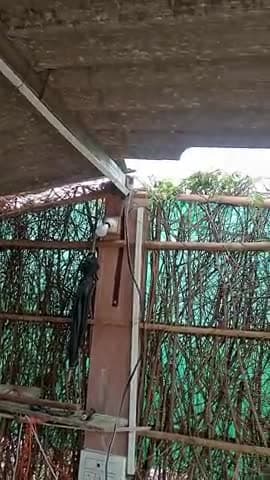 सड़ा धनजी प्रभु नगर अब्बदानियों की ढाणी सुबह 5:00 तूफान से हुआ नुकसान कई घरों के पत्ररे भी उड़ गए कई पेड़ भी गिर गई