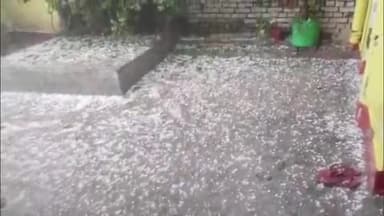 गोंडा: जिले में दोपहर तेज आंधी और बारिश के बाद गिरे आले, उमसभरी गर्मी से मिली राहत, बारिश से उड़द और गन्ना की फसल को हुआ फायदा