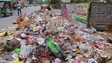 शिकोहाबाद: शिकोहाबाद नगर की सडको पर गन्दगी के ढेर दुर्गन्ध से राहगीर परेशान