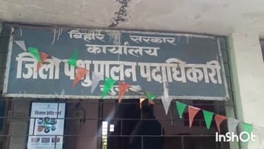 मुंगेर: खुरहा और मुंहपका रोग से बचाव के लिए जिला पशु पालन विभाग ने टीकाकरण अभियान शुरू किया