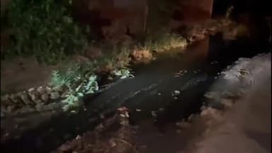 अमरोहा: गांव जगुआ खुर्द में टूटी पड़ी सड़क लोग गंदगी से परेशान हो रहे बीमार शासन प्रशासन से लगाई गुहार  #jansamasya